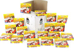 Mexican Candy Duvalin Ricolino Bi Sabor Avellana Y Vainilla Wholesale Hazelnut and Vanilla Flavored Creme Cream Pudding Dulces Mexicanos (6 Packs of Duvalin (108 Pieces))